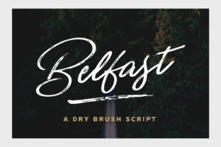 Belfast Font: Authentic Script for Campaigns