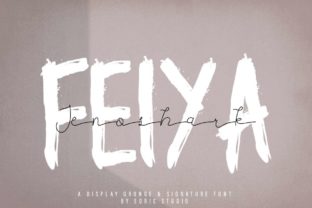 Jenoshark Feiya: A Designer’s Practical Review