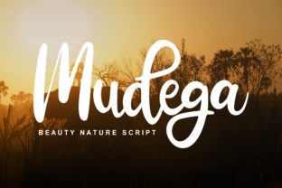 Mudega: A Playful Script Font for Crafters