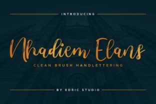 Nhadiem Elans: A Designer’s Practical Review