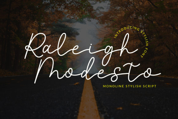 Raleigh Modesto: A Designer’s Honest Review